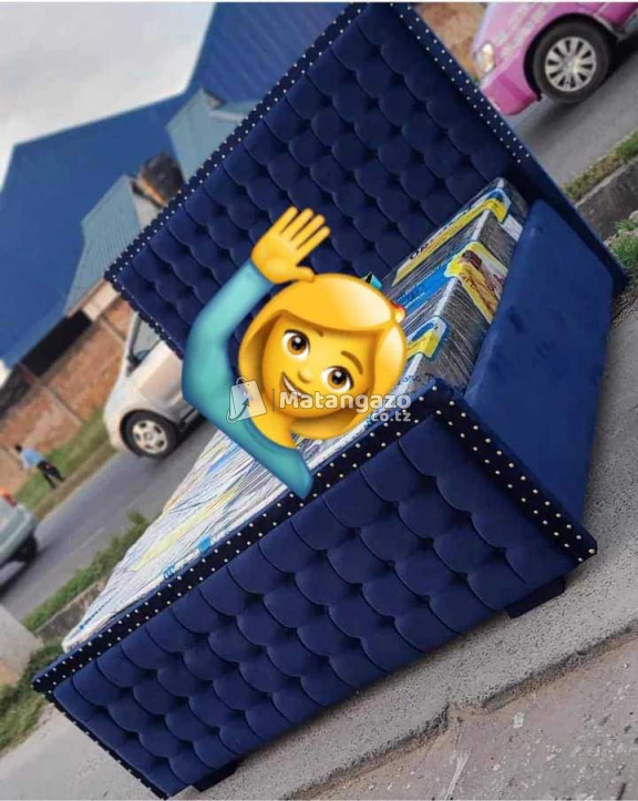 Bed Sofa