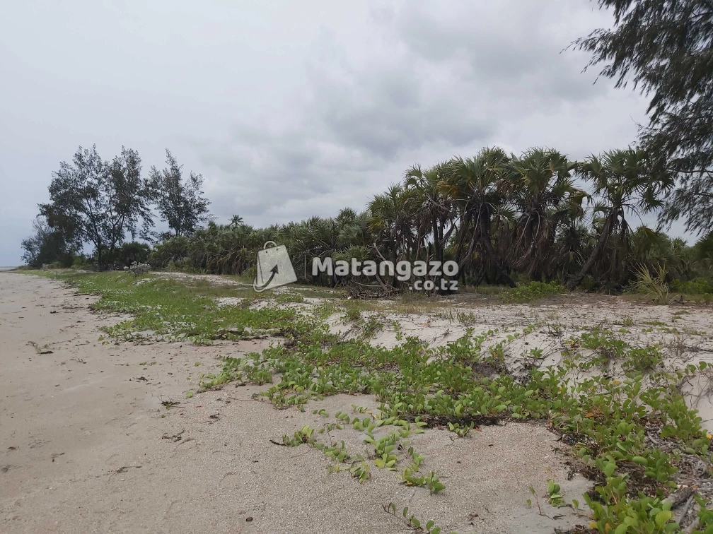 Beach Prote Mkwaja Tanga Inauzwa
