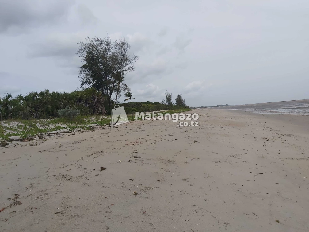 Beach Prote Mkwaja Tanga Inauzwa