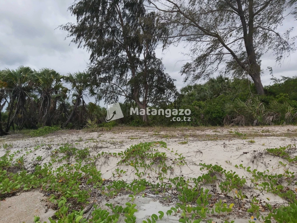 Beach Prote Mkwaja Tanga Inauzwa