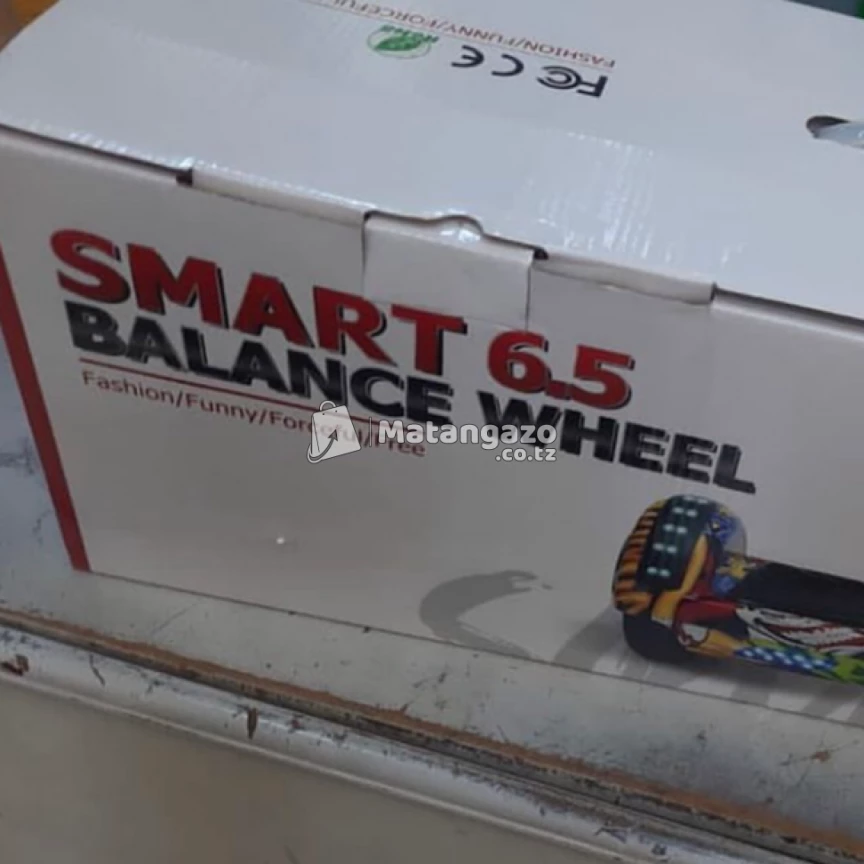 Smart Balance Wheel