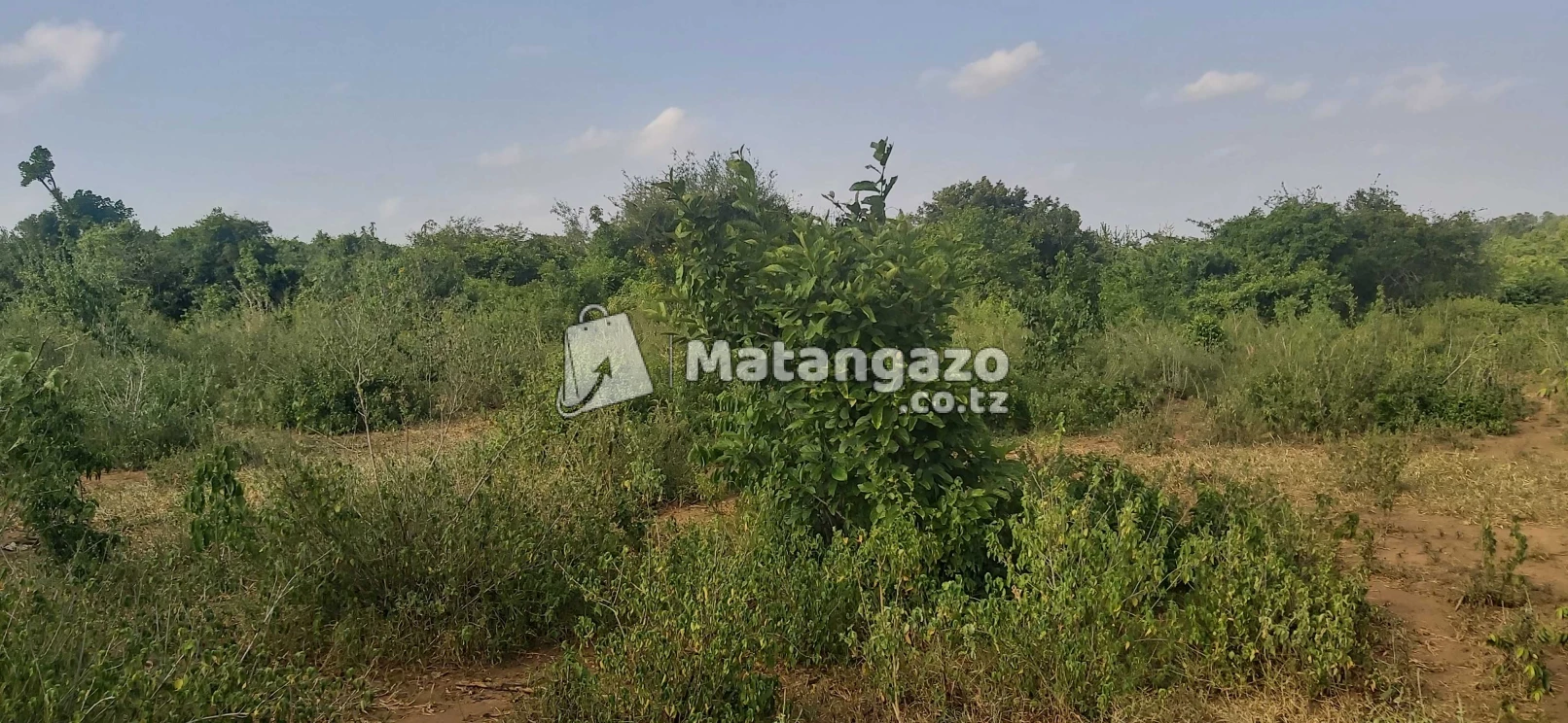 Shamba La Ekari 100 Linauzwa Mbwewe Pwani