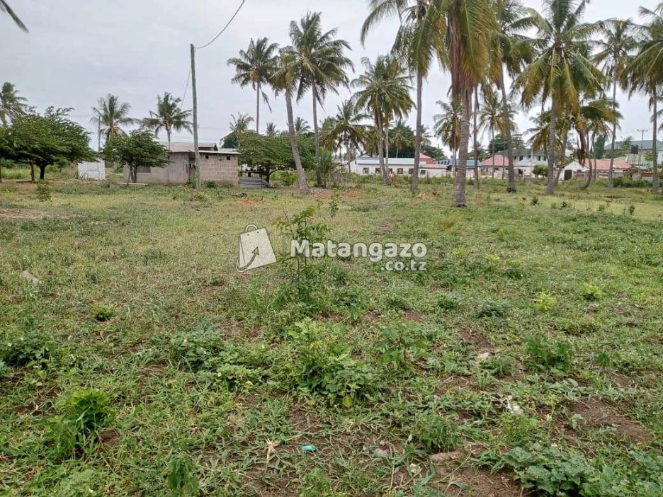 Viwanja Vipo Boko Beach Dar Es Salaam Tanzania
