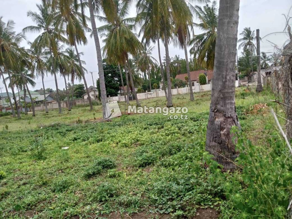 Viwanja Vipo Boko Beach Dar Es Salaam Tanzania