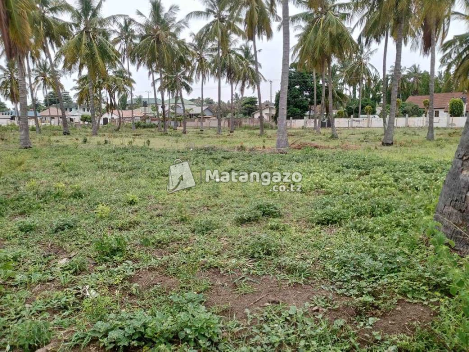 Viwanja Vipo Boko Beach Dar Es Salaam Tanzania