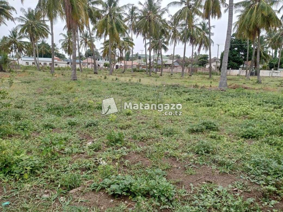 Viwanja Vipo Boko Beach Dar Es Salaam Tanzania