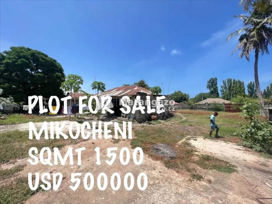 Eneo Lipo Mikocheni Dar Es Salaam Tanzania
