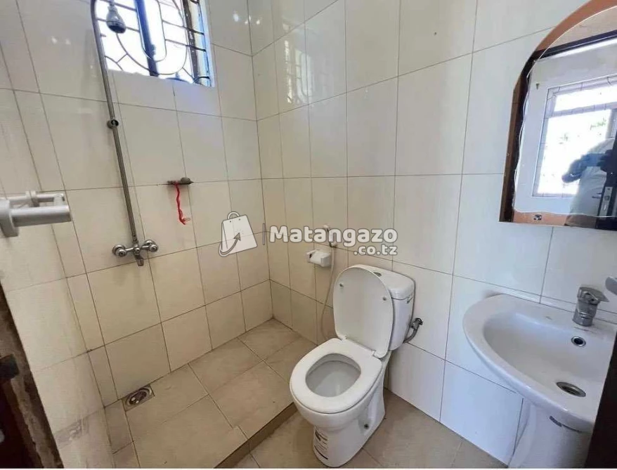 Ipo Mbezi Beach Dar Es Salaam Tanzania