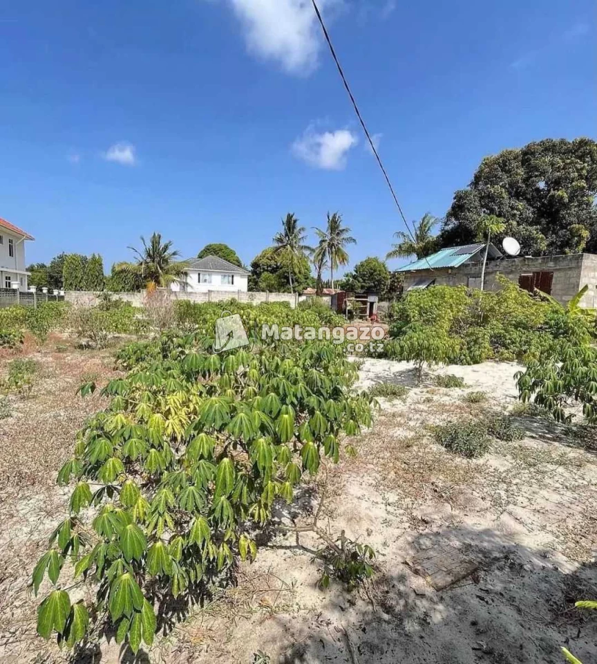 Eneo Linauzwa Lipo Bunju Beach Moga Dar Es Salaam Tanzania