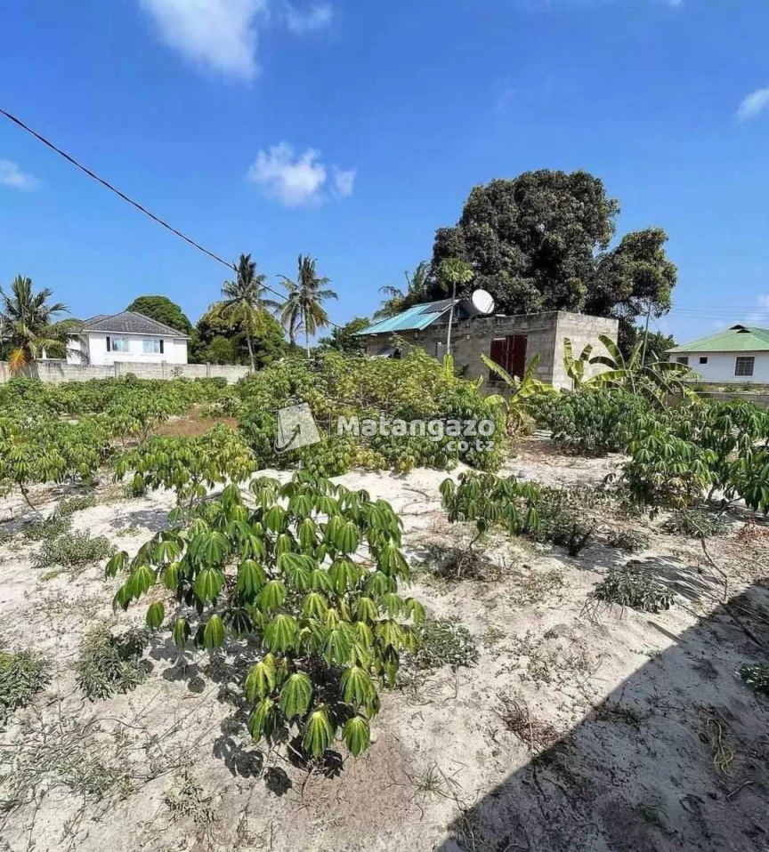 Eneo Linauzwa Lipo Bunju Beach Moga Dar Es Salaam Tanzania