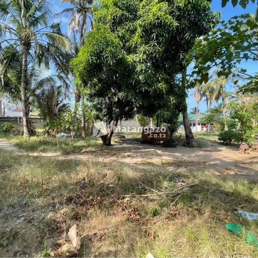 Eneo Linauzwa Lipo Salasala Dar Es Salaam Tanzania