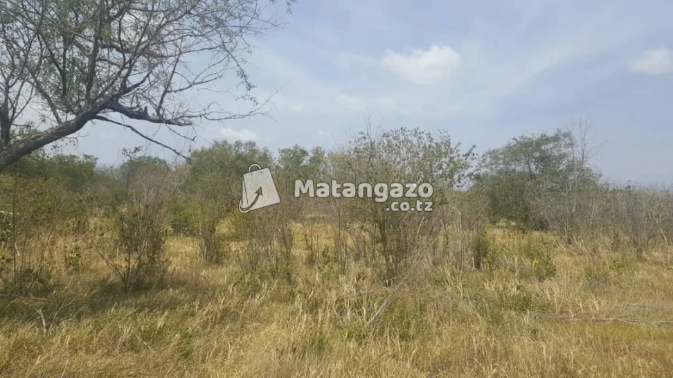 Shamba Linauzwa