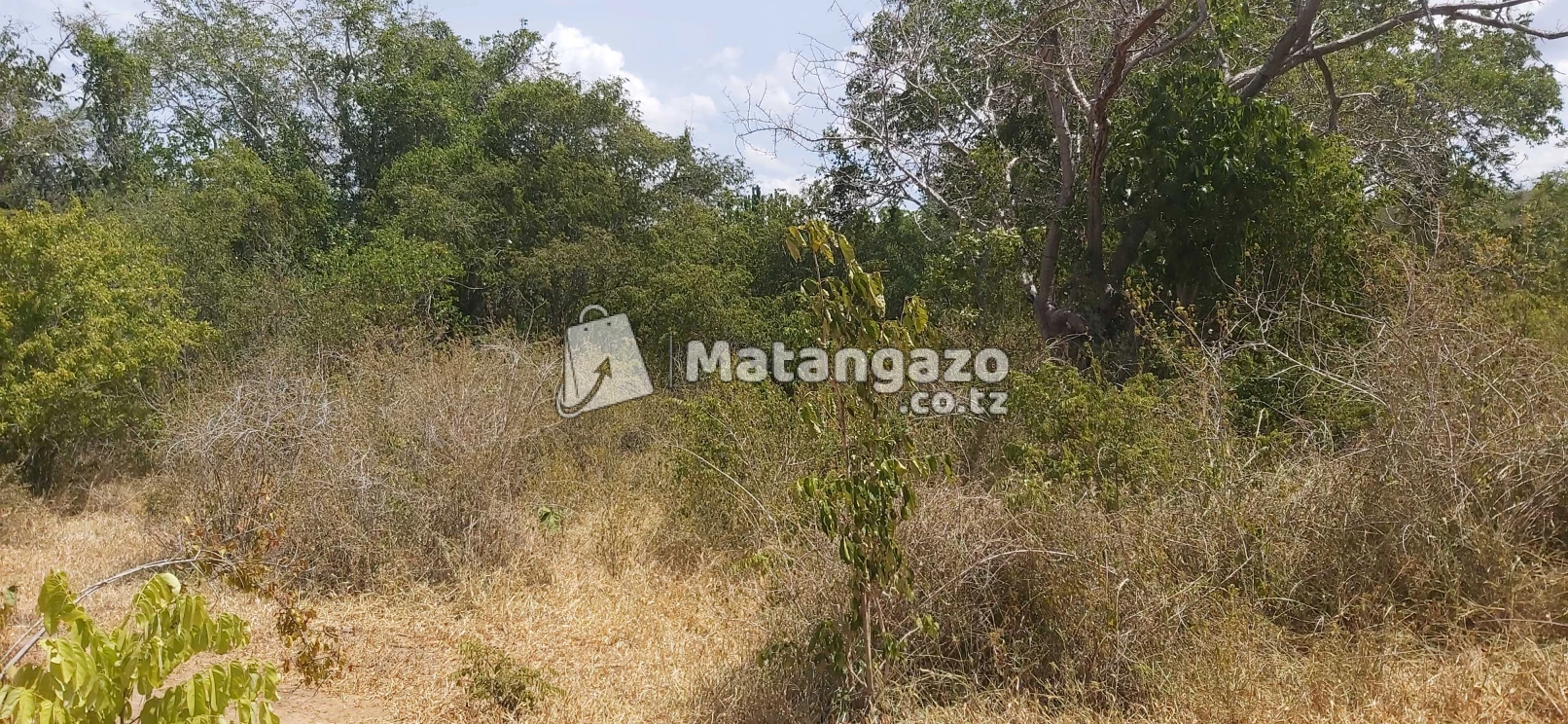 Shamba Ekari 100 Zinauzwa Kiwangwa