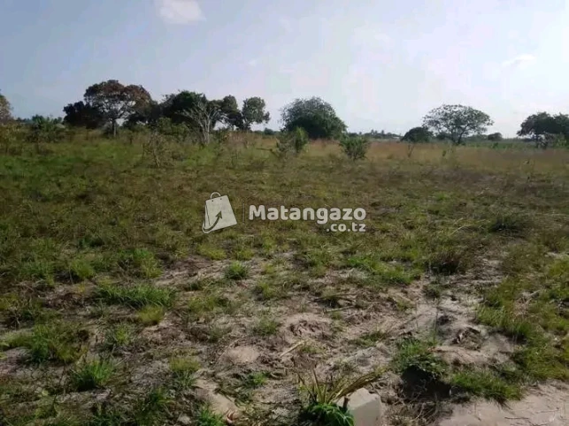 Eneo Linauzwa Kigamboni Kimbiji