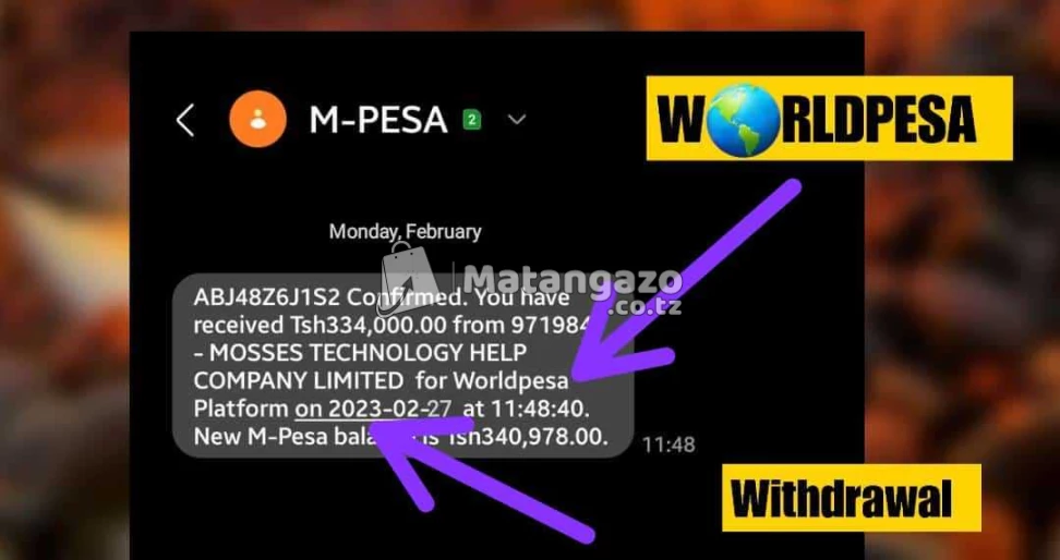 World Pesa Platform Whatsapp +255758335895