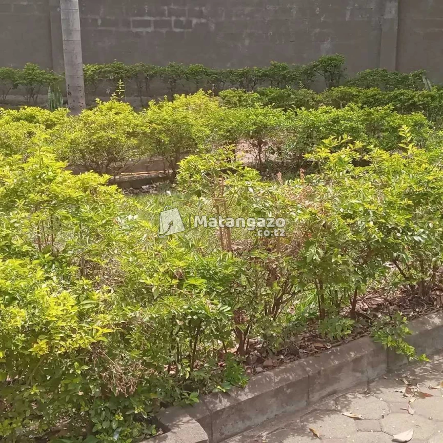 5bedroom House For Rent In Njro-arusha
