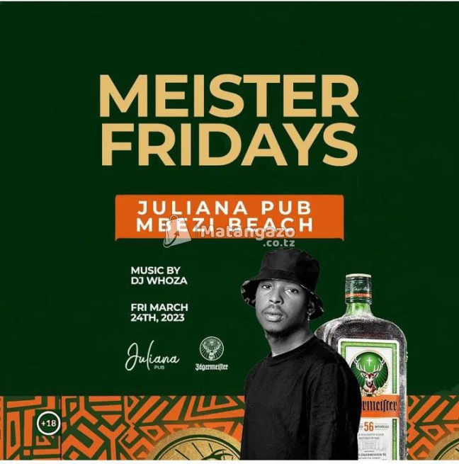 Meister Fridays