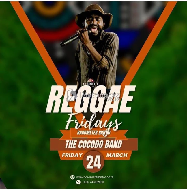 Reggae Fridays