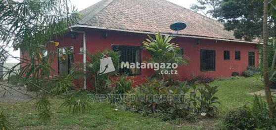 3bedroom Fully Furnished House For Rent In Usa River,arusha-tanzania