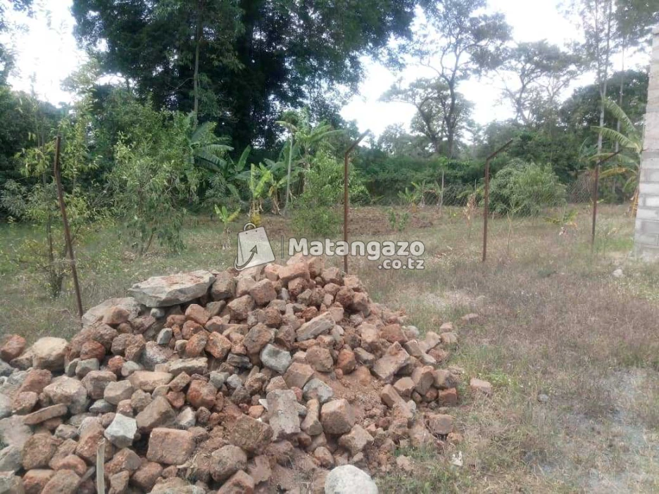 1acre Farm For Sale At Tengeru-arusha, Tanzania