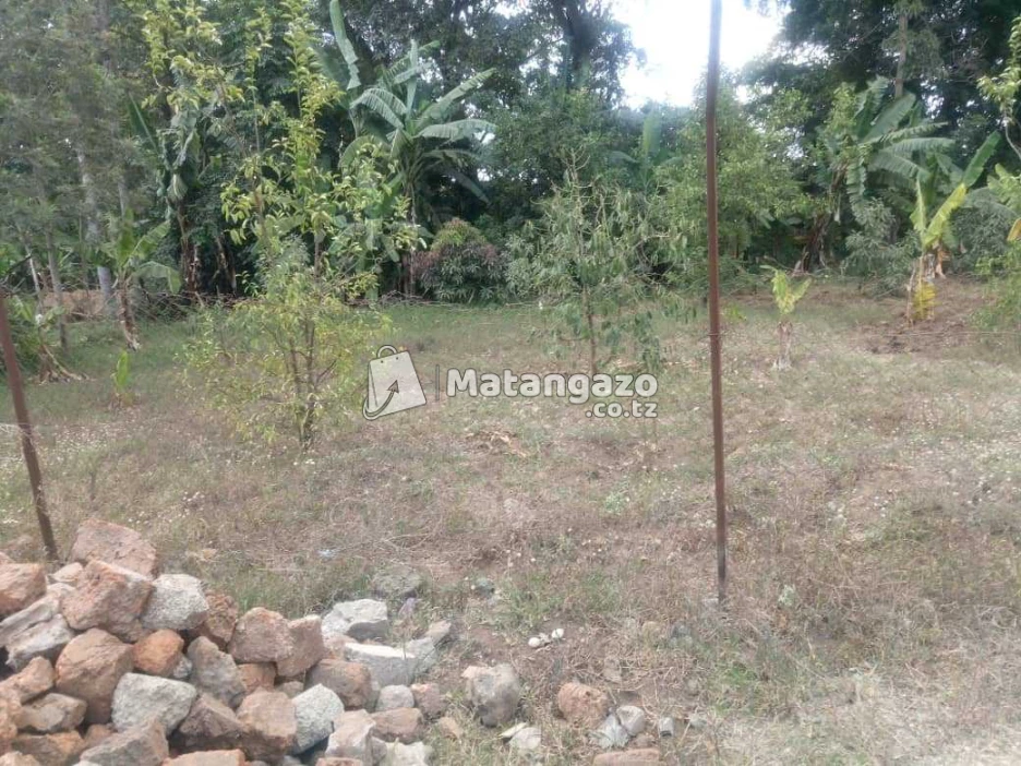 1acre Farm For Sale At Tengeru-arusha, Tanzania