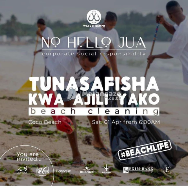 Beach Cleaning