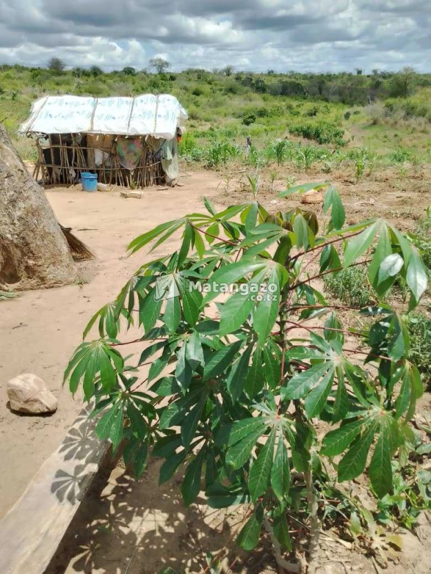 Shamba Linauzwa