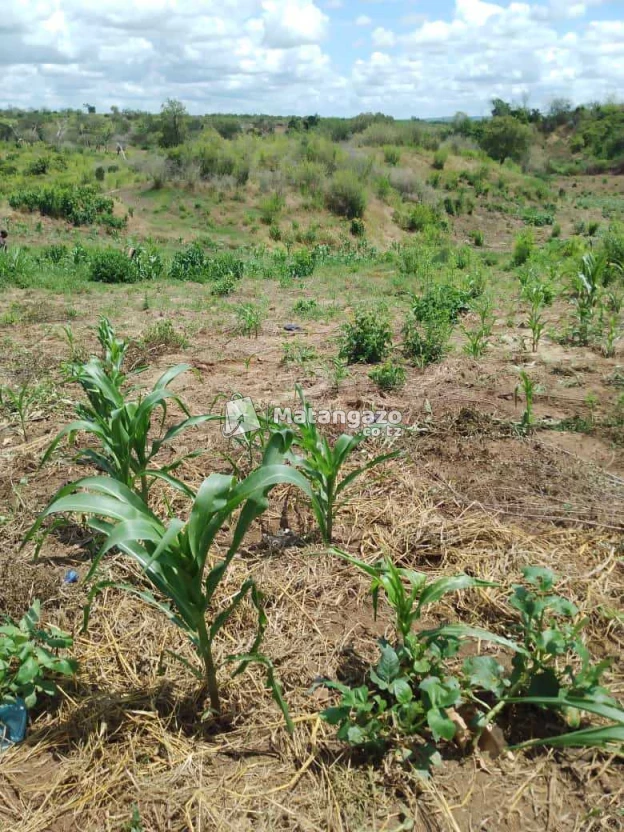 Shamba Linauzwa