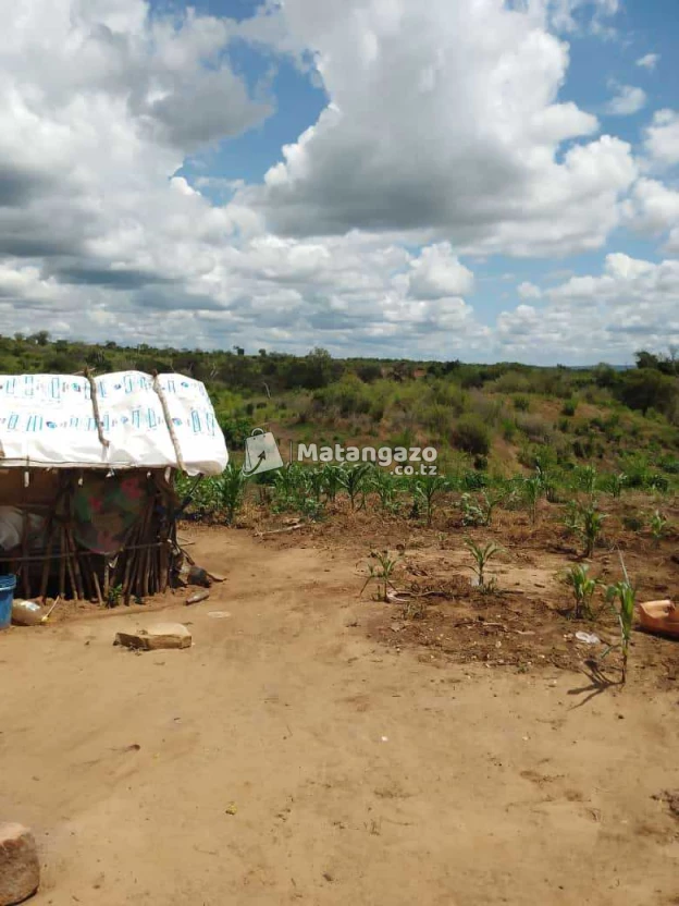 Shamba Linauzwa