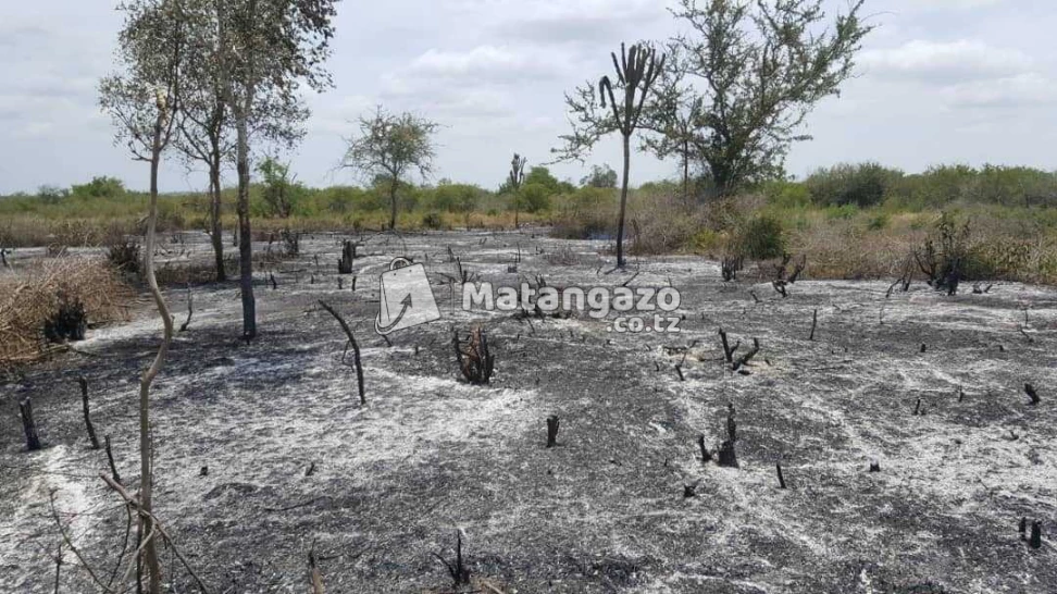 Shamba Linauzwa Kiwangwa