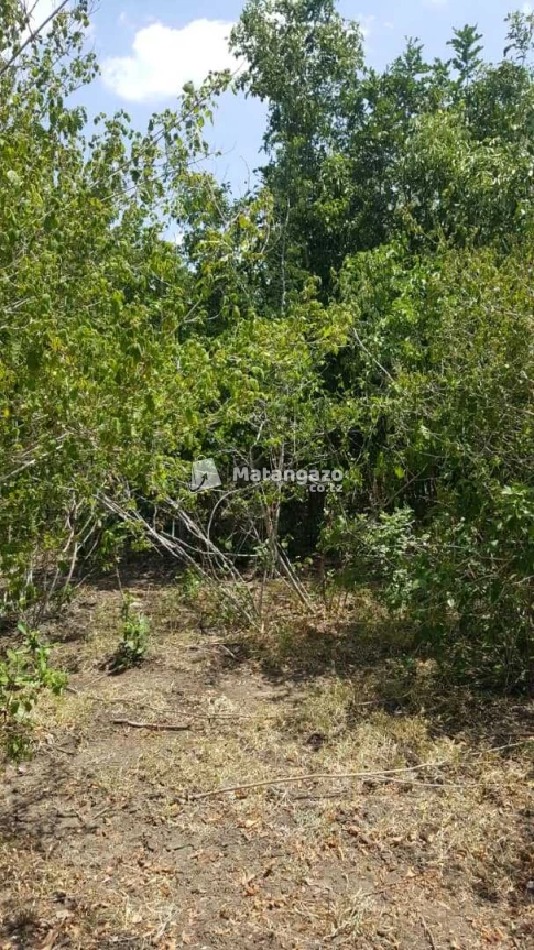Shamba Linauzwa