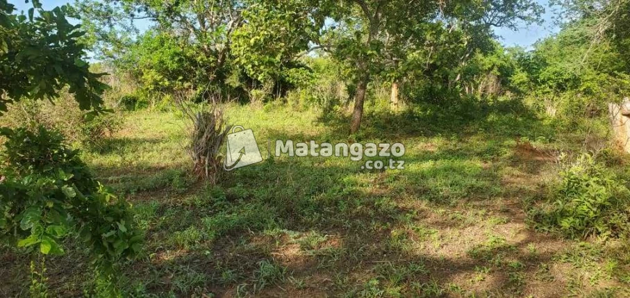 Shamba La Ekari 5 Linauzwa Bago Kiwangwa