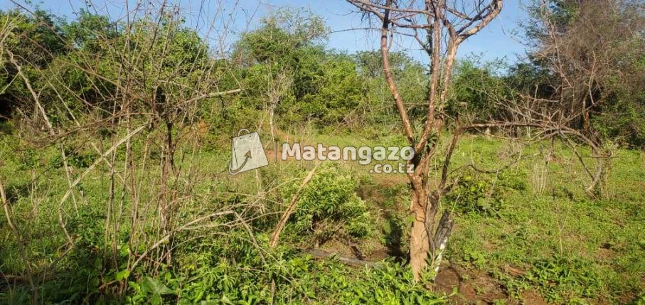 Shamba La Ekari 5 Linauzwa Bago Kiwangwa