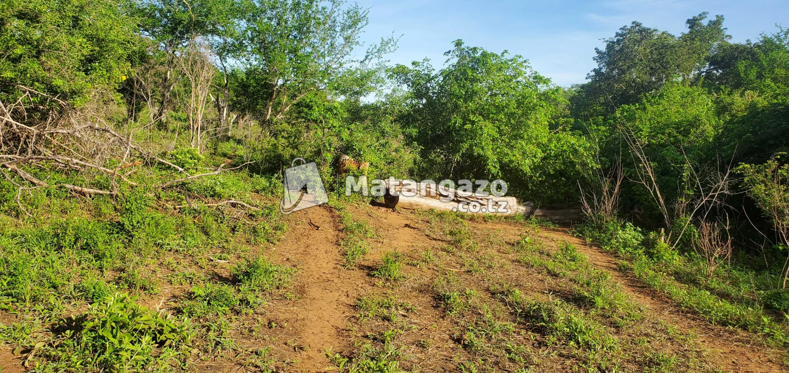 Shamba Linauzwa Mbwewe
