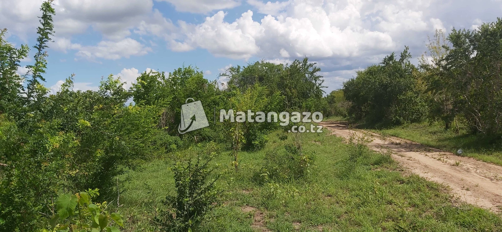 Shamba La Ekari 50 Linauzwa Bago Kiwangwa