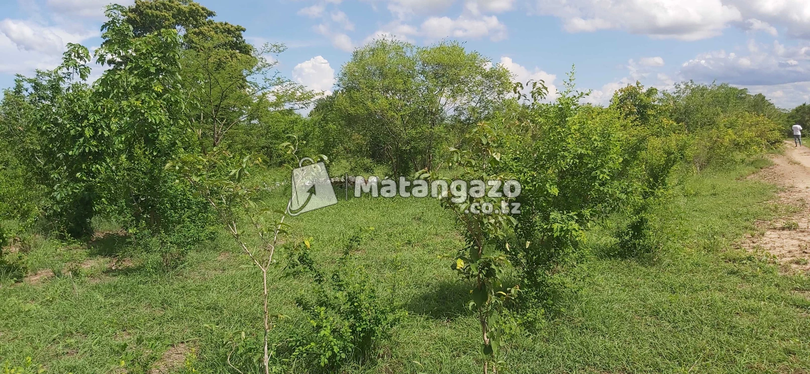 Shamba La Ekari 50 Linauzwa Bago Kiwangwa