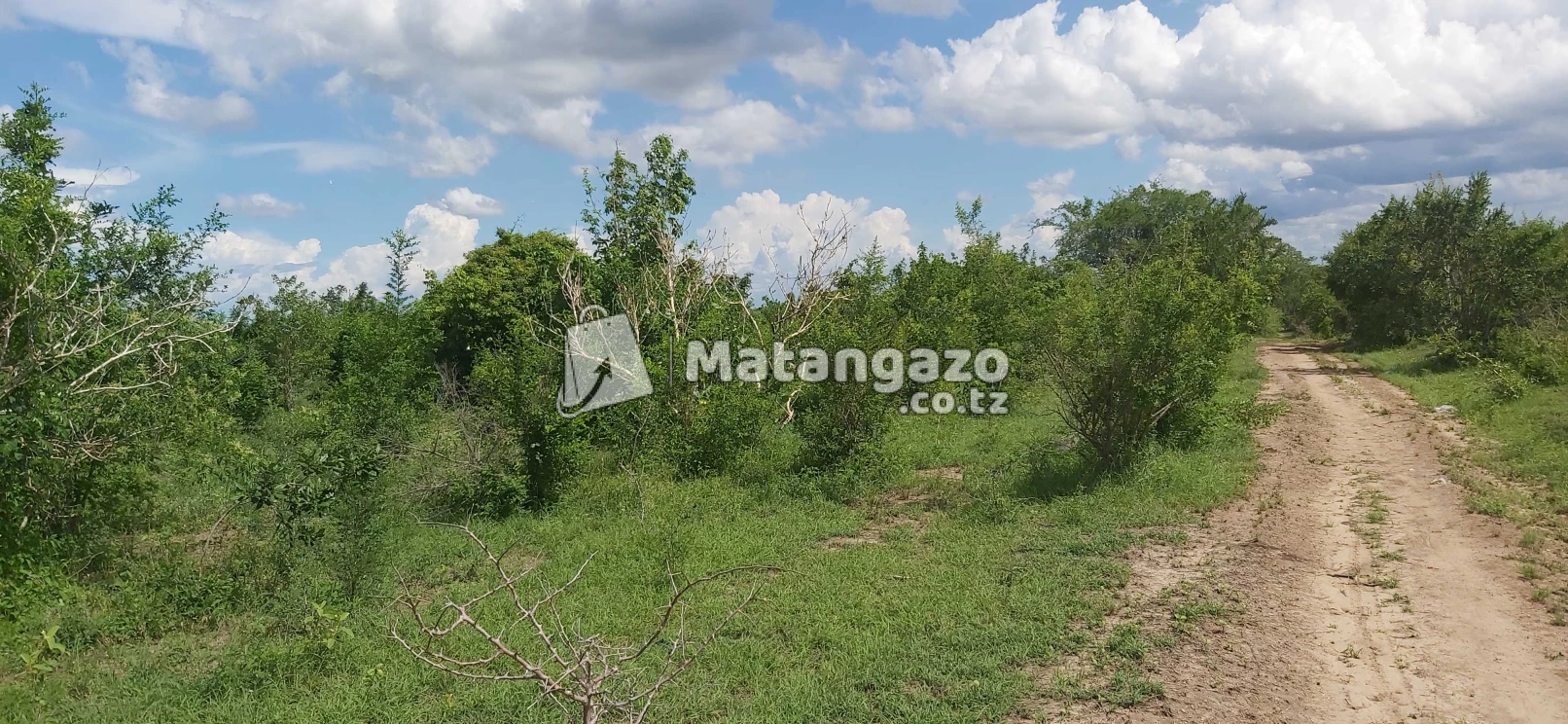 Shamba La Ekari 300 Linauzwa Kiwangwa Bagamoyo