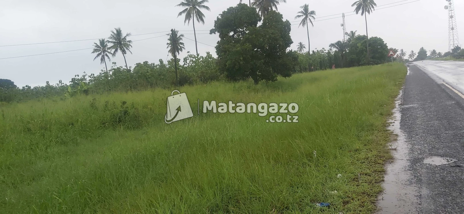 Eneo La Barabarani La Ekaei 2 Linauzwa Kiwangwa