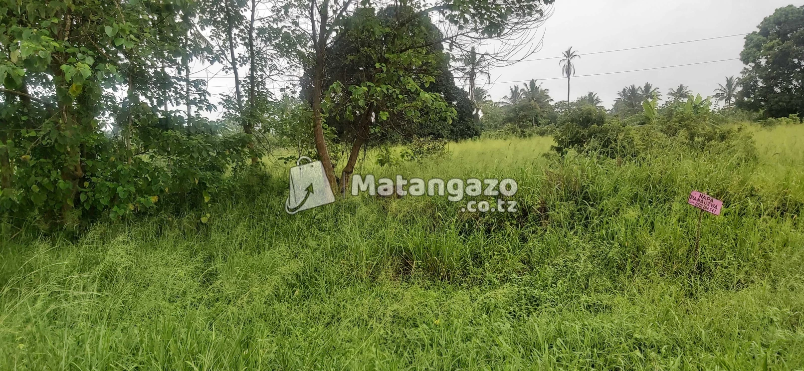 Eneo La Barabarani La Ekaei 2 Linauzwa Kiwangwa