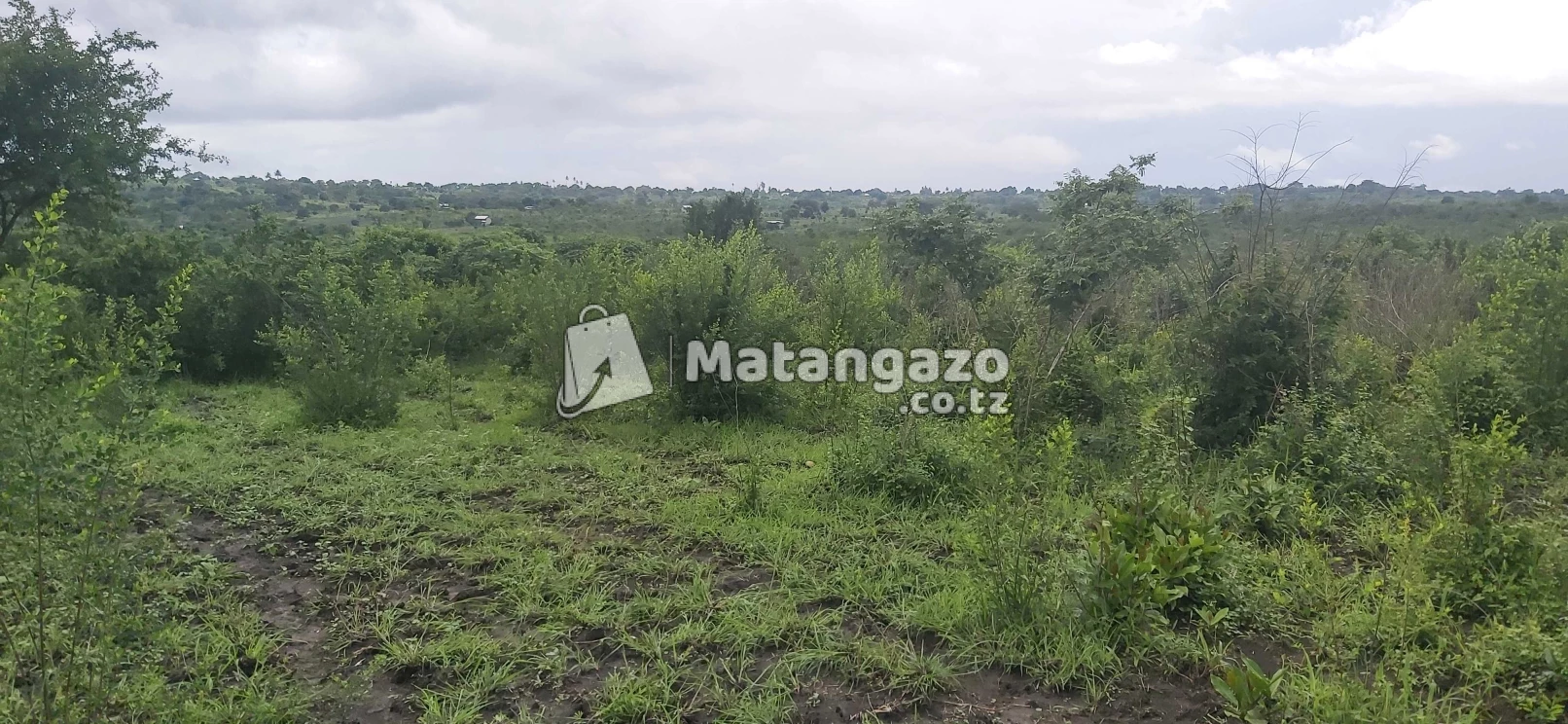 Shamba La Ekari 20 Linauzwa Mbwewe