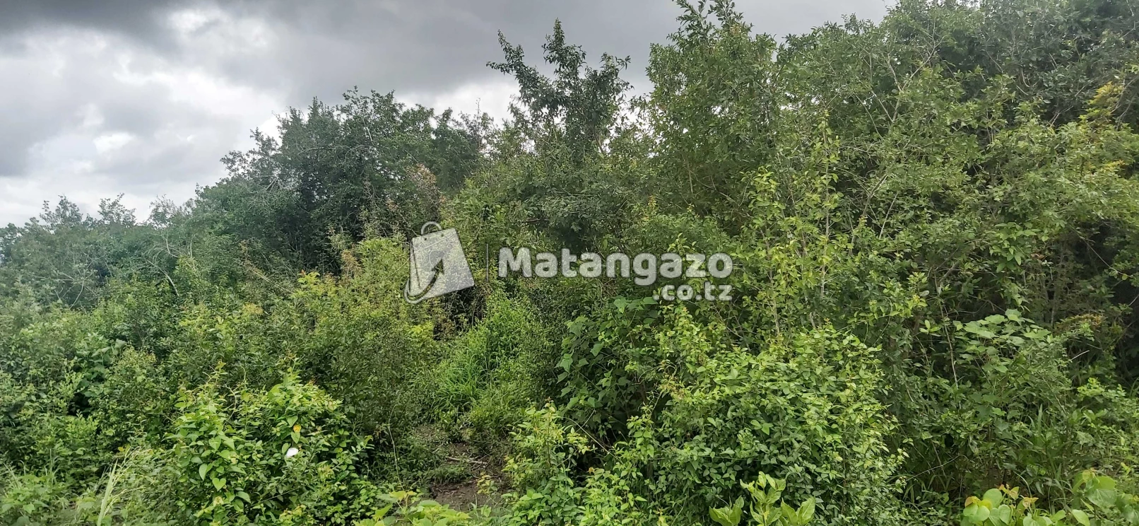 Shamba La Ekari 20 Linauzwa Mbwewe