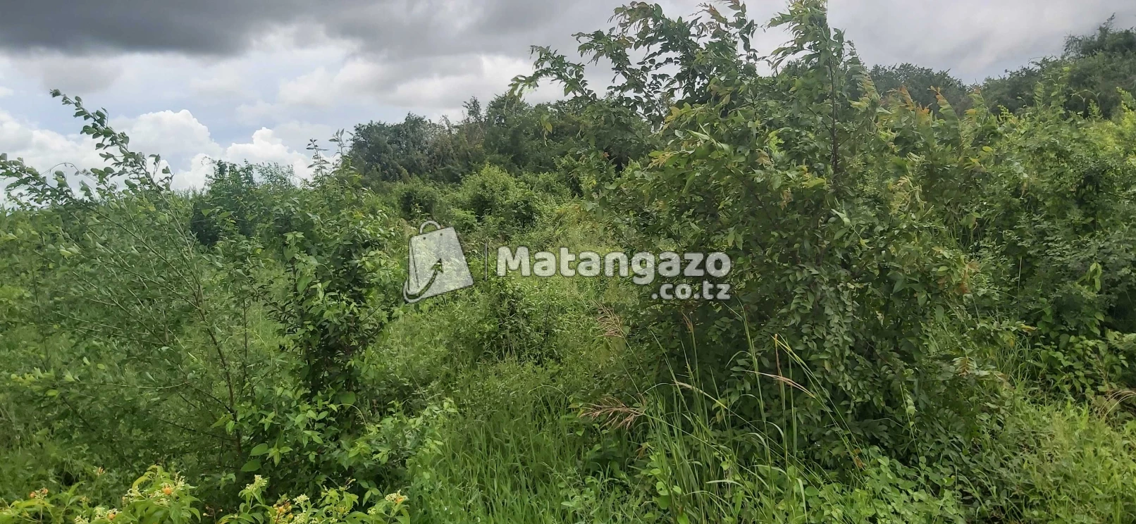Shamba La Ekari 20 Linauzwa Mbwewe