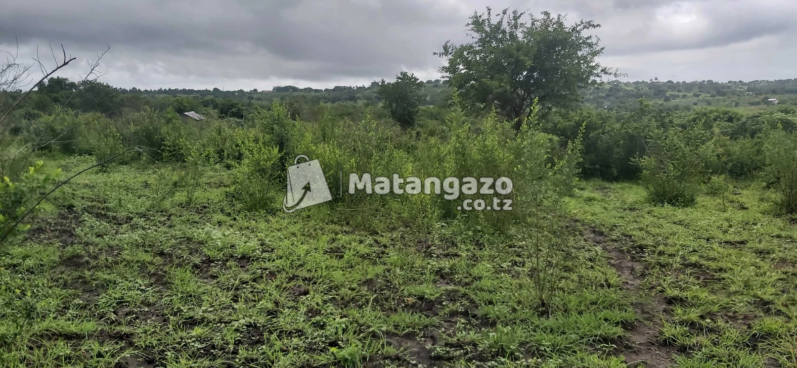 Shamba La Ekari 20 Linauzwa Mbwewe