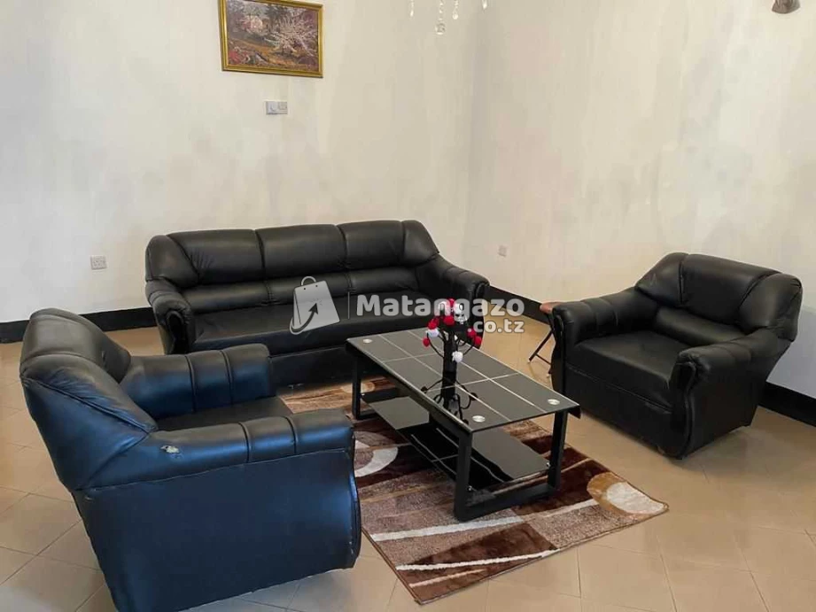 4bedroom Fully Furnished House For Rent In Njiro Arusha