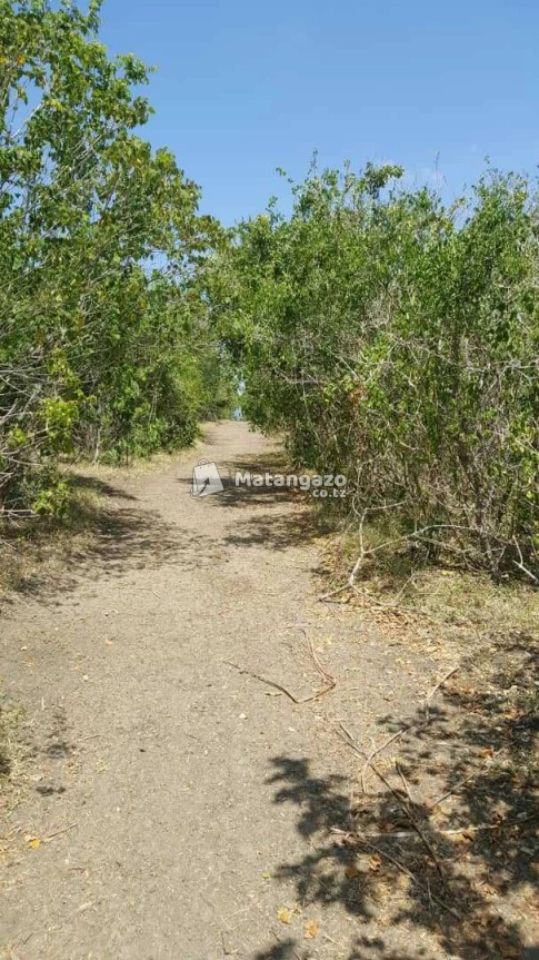 Shamba Linauzwa Ekari 40