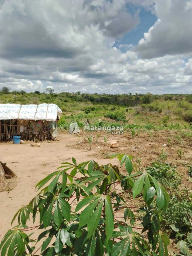 Shamba Linauzwa Ekari 40