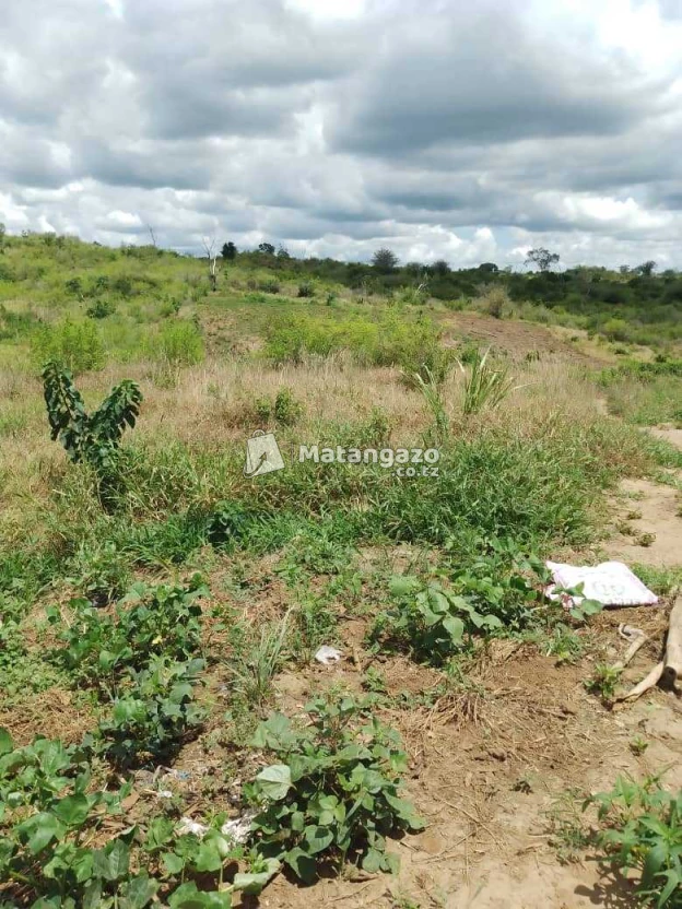 Shamba Linauzwa Ekari 40
