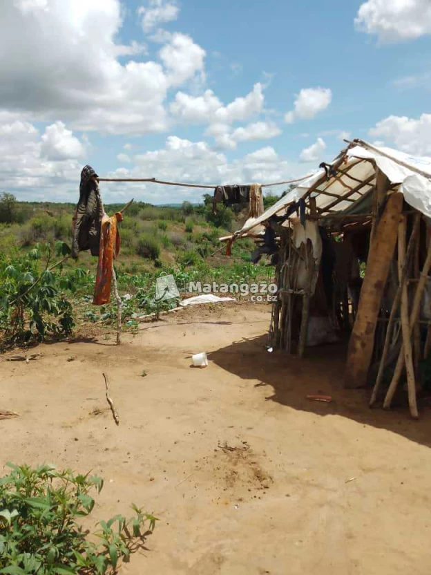 Shamba Linauzwa Ekari 40