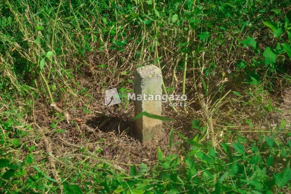 Shamba Lenye Hati La Ekari 6 Linauzwa Mkuranga