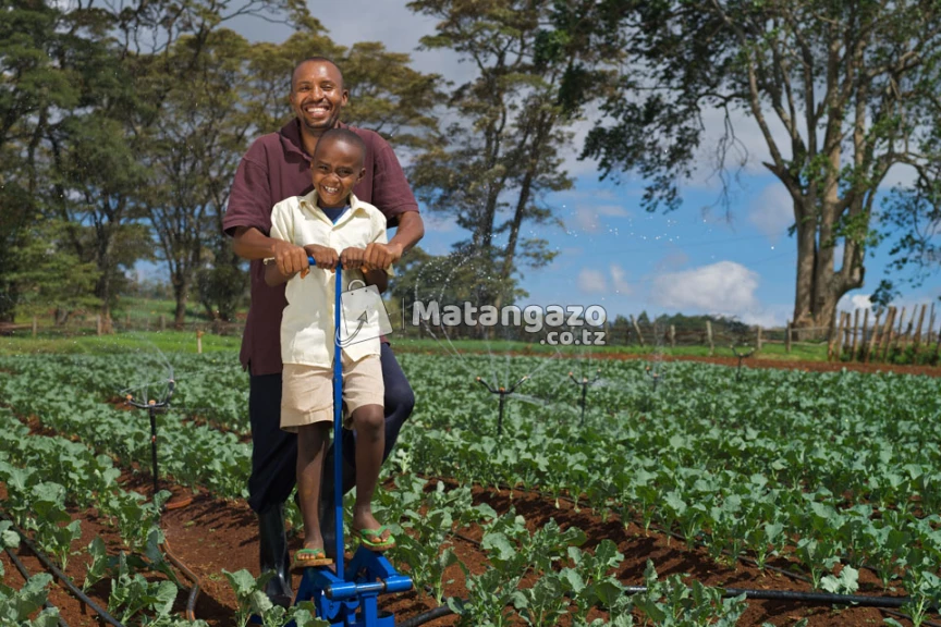 Country Partnerships Manager